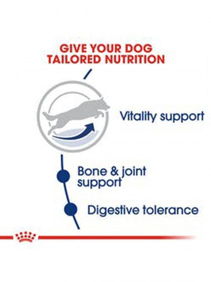 SHN MAXI ADULT 5+_web5